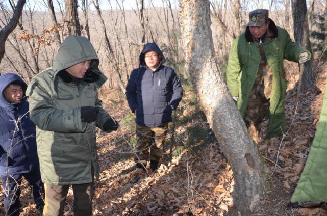 專題/出動3380人次 清繳獵套150個 琿春林區清山清套守護虎豹棲息地