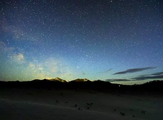 銀河兩端一端是牽牛星,另一端是織女星,它們正熠熠生輝.