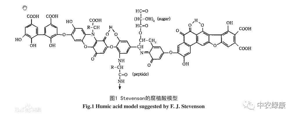 黄腐酸分子结构图片