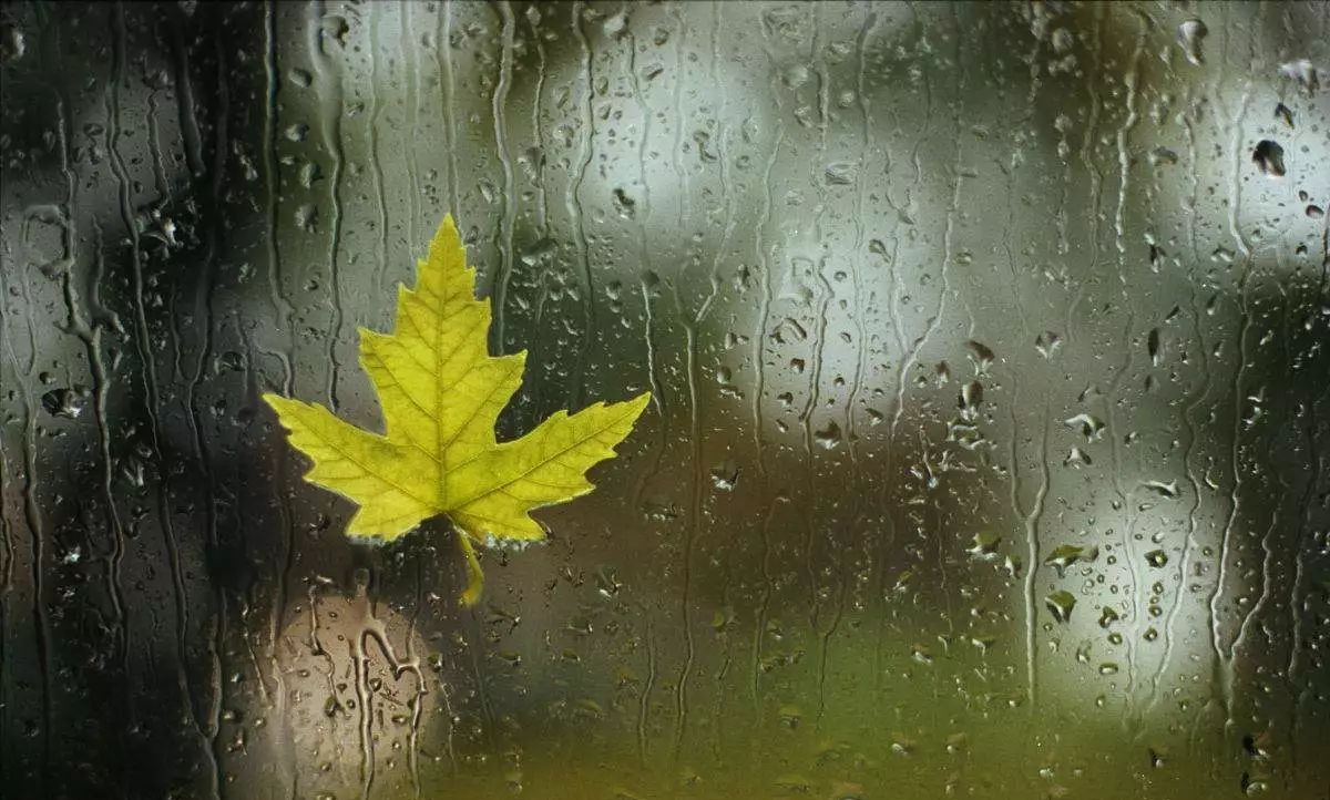 天气图片大全风景小雨图片