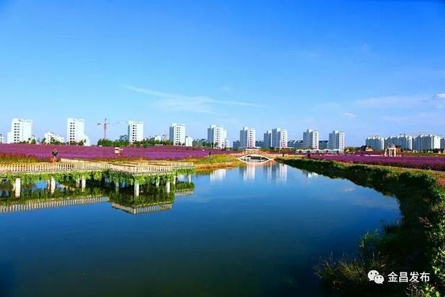 礦山地質公園礦山地質公園礦山地質公園金川公園尤首山荘龍首山荘花海