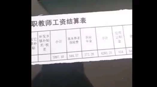 看完老师的工资条后,感觉老师这个职务最难当.