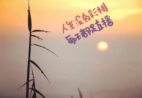 人生不必感慨,想開便是晴天