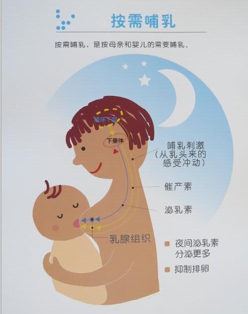 乳房发育不良如何改善图片