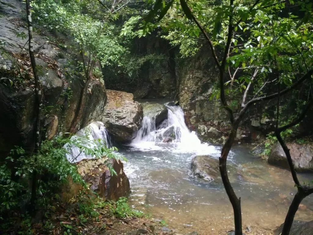 平阳龙王峡谷景区图片图片