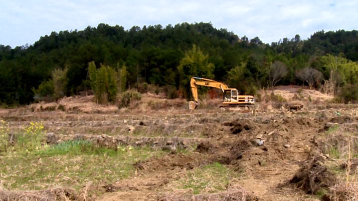 我县元善镇增坝村猕猴桃示范基地正式动工