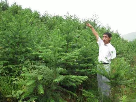 2016年2月16日,全州县庙头镇兆村村民蒋昌斌在同村村民蒋昌纯住房后