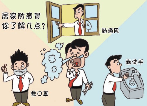 季節性流感病毒分為甲型和乙型.