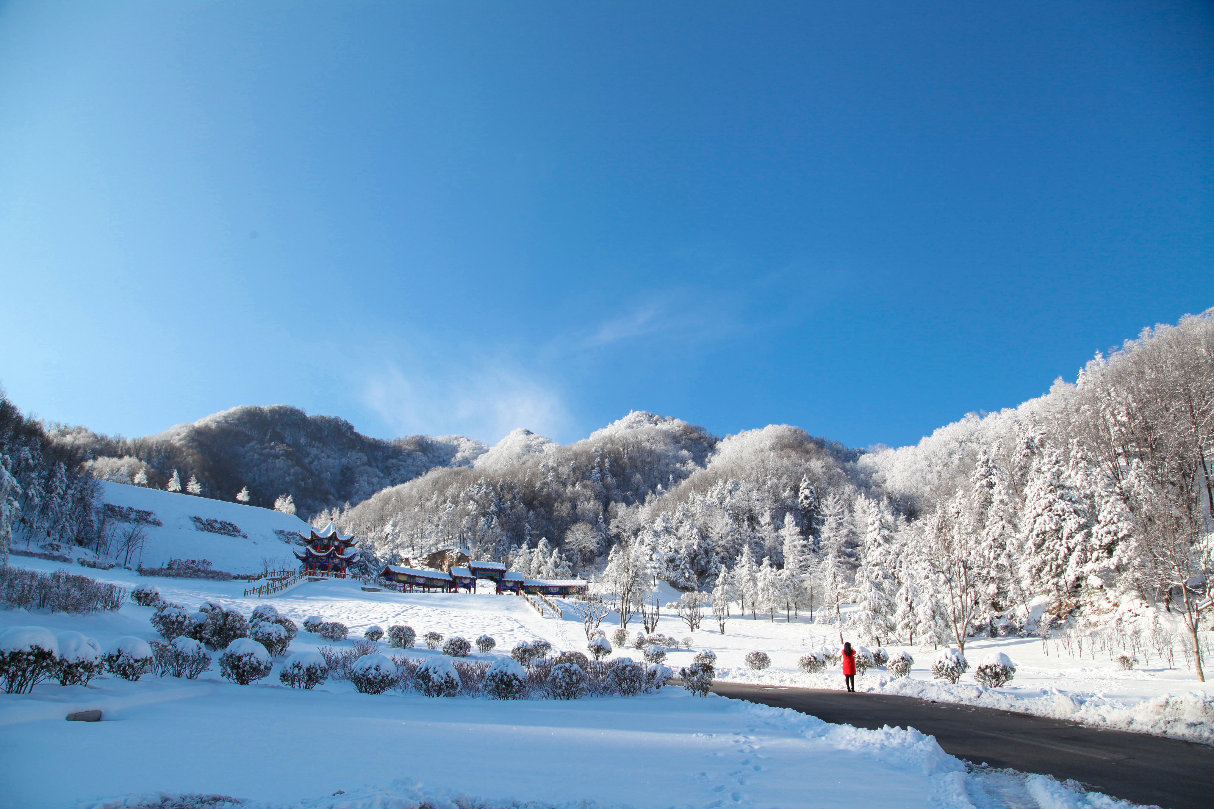 伏牛山滑雪场图片