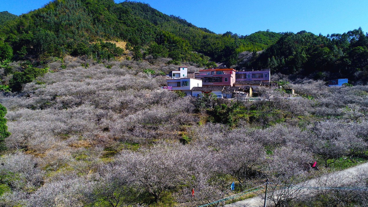 幸福梅林景区门票图片