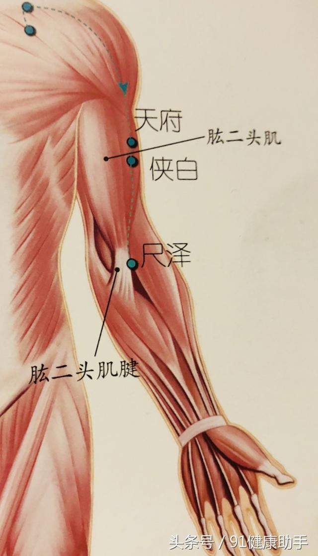 侠白的准确位置图片