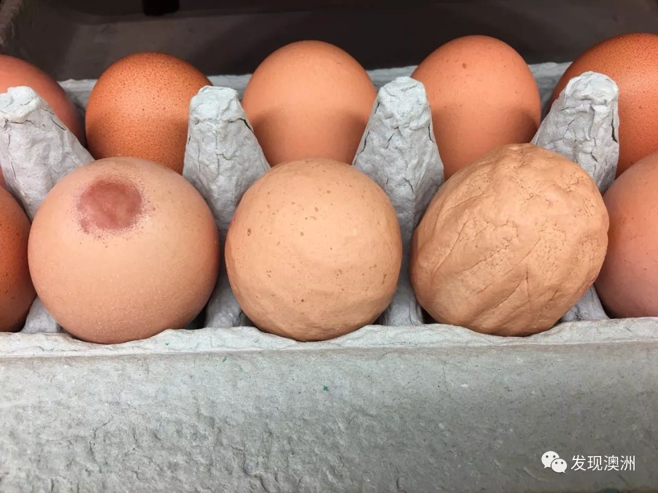 澳洲最大连锁超市wws惊现人造鸡蛋?