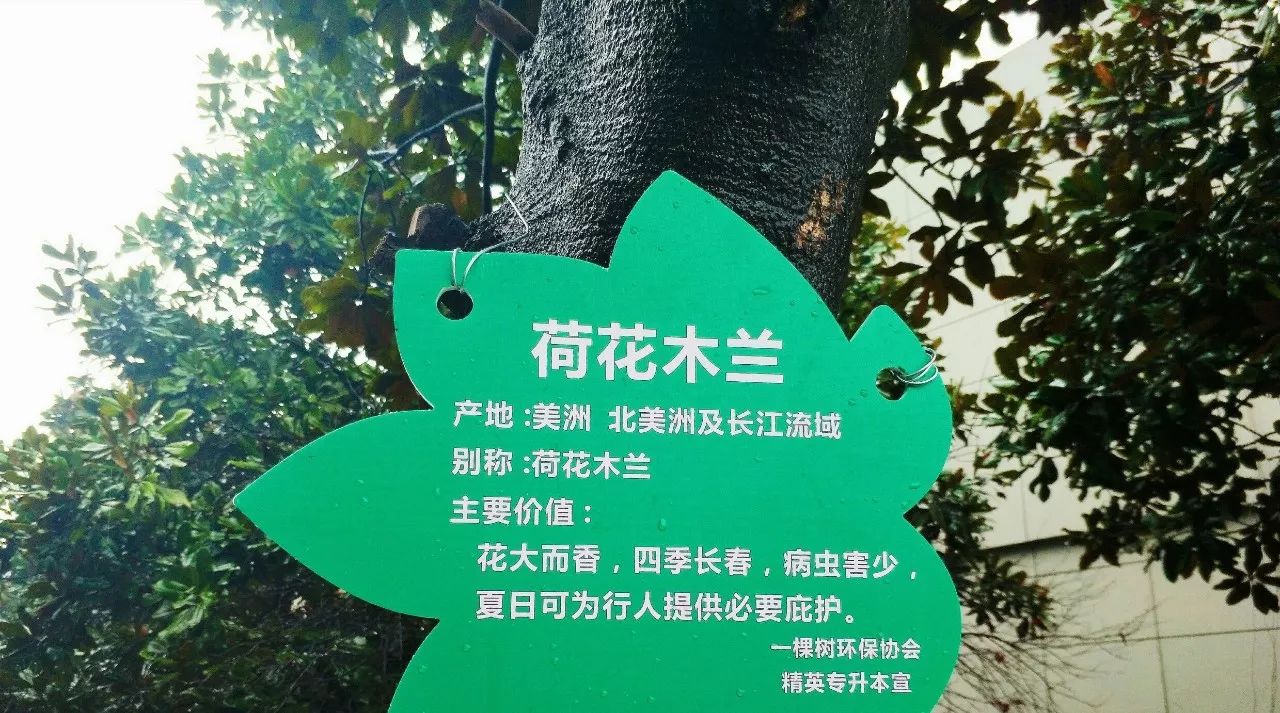 树朋友的名片图片