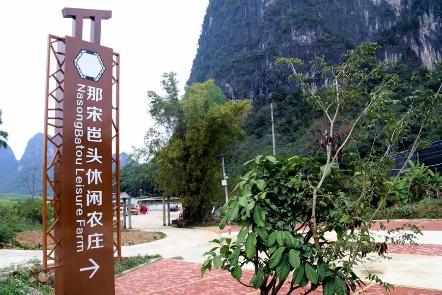 龍州縣下凍鎮峽崗村那宋屯大力發展生態鄉村和綠色經濟建設