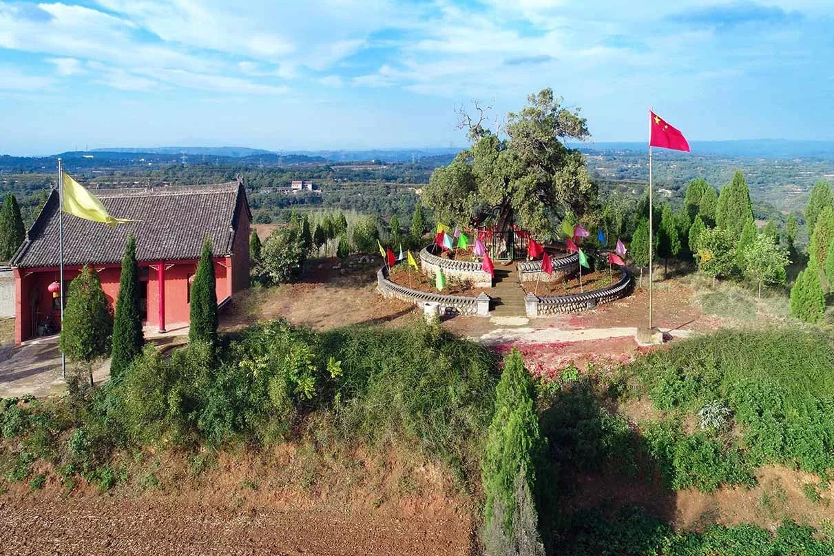 水村送莊鎮朱家寨村牛家寨常袋鎮半坡村平樂鎮後營村鷂店朝陽鎮劉寨村