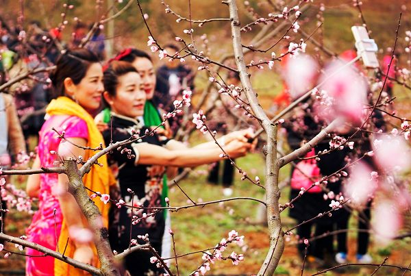 【头条"大美芜湖县,最美沚津城"摄影大赛评选结果揭晓