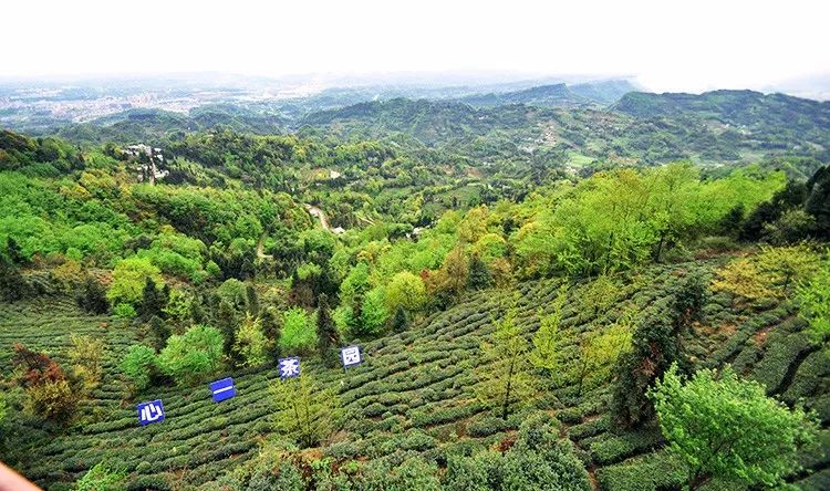 656元蒙頂山雙人大禮包雲棲谷別墅住宿1晚雙人景區門票茶禮餐飲代金券