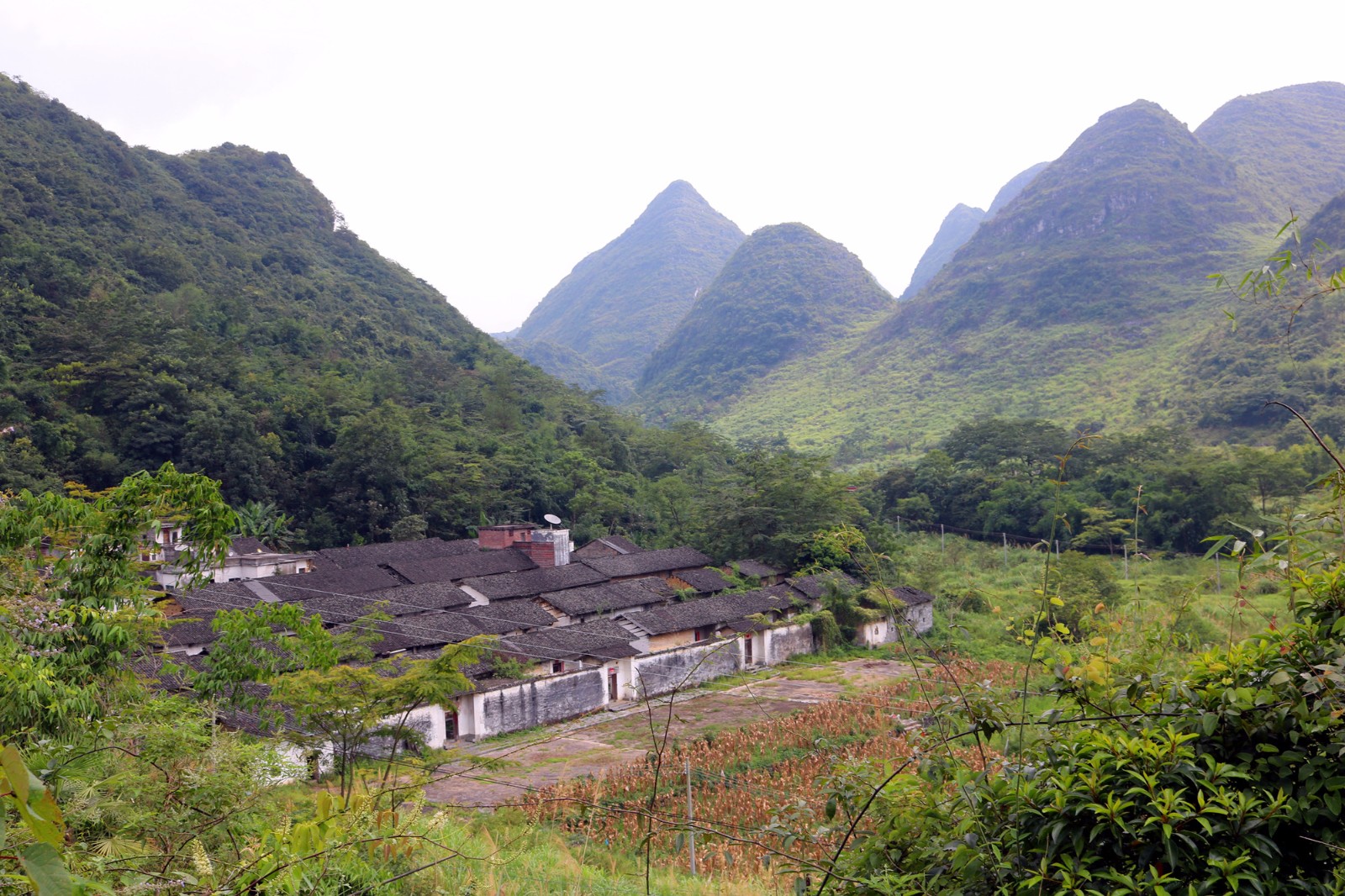 靘雾山地处阳山,清新,英德交界处,脚踏三县,可以从清远市阳山县杜步镇