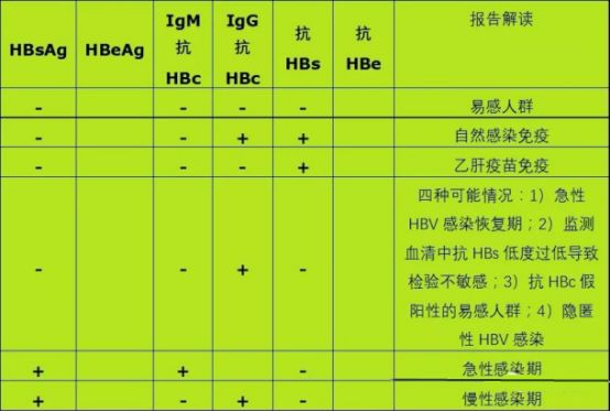 手把手教您认识乙肝:hbv感染的血清学标志物(有声版)