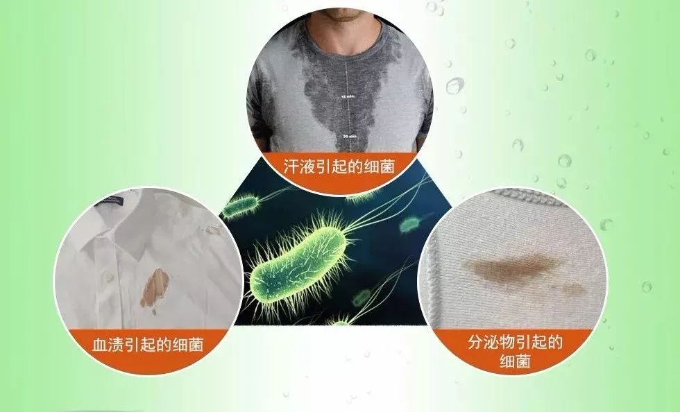 衣服细菌比马桶还多,你还敢随意穿穿吗?