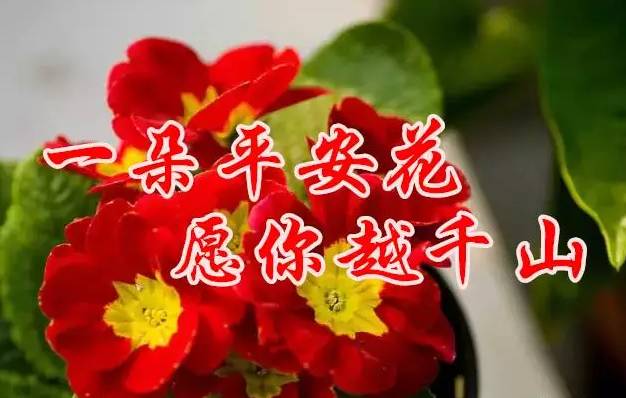 今天是1月18日,要发日,发发发,祝你八方来财,好运相随