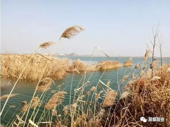 蒙城北淝河國家溼地公園(試點)渦陽道源國家溼地公園利辛西淝河國家