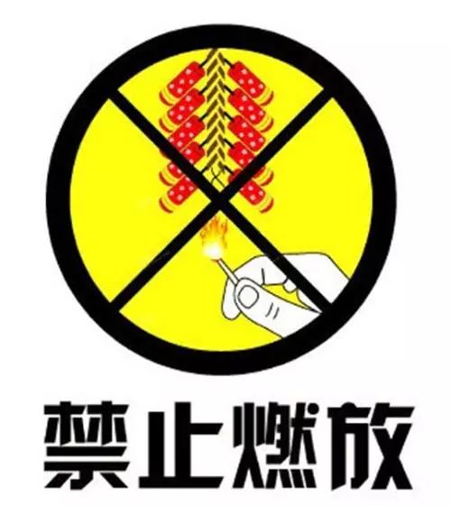 所有人 泰达全域禁燃烟花爆竹 违规者将重罚!