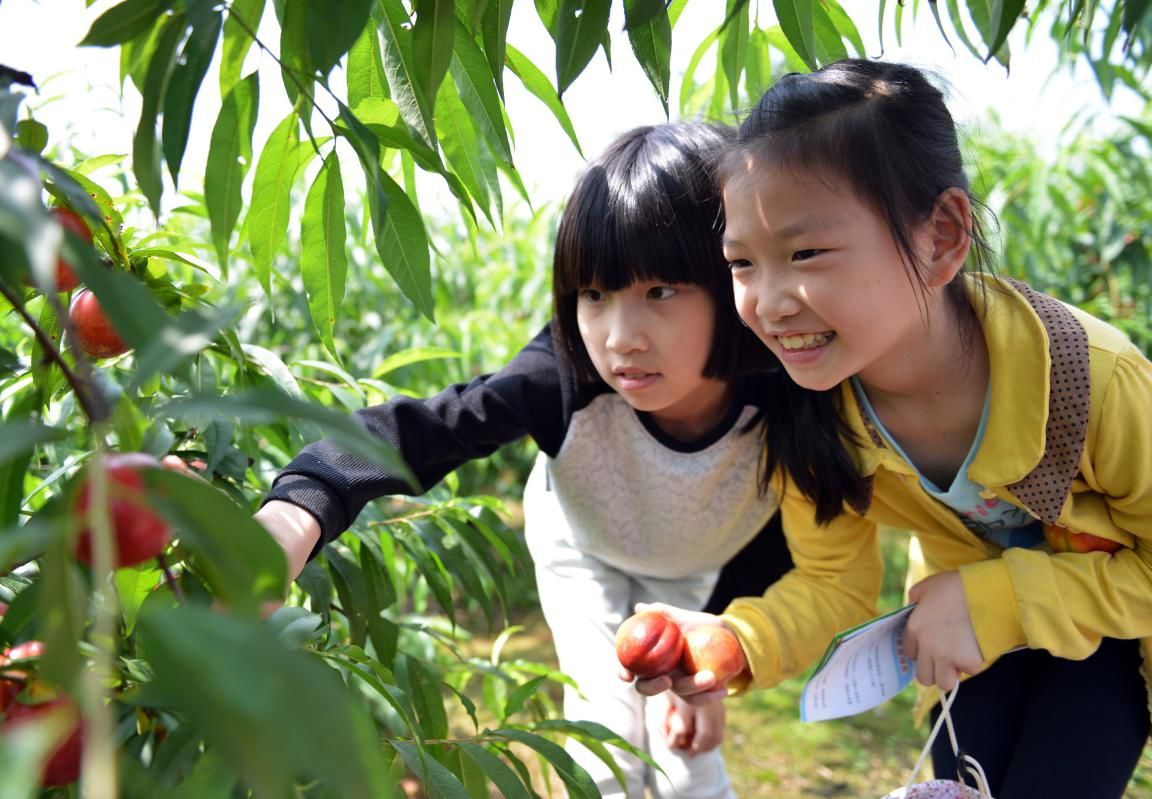 【头条"大美芜湖县,最美沚津城"摄影大赛评选结果揭晓