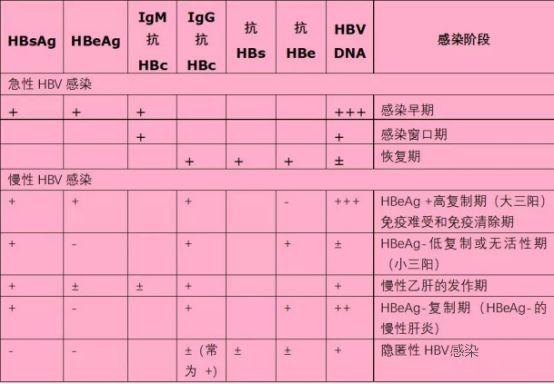 手把手教您认识乙肝:hbv感染的血清学标志物(有声版)