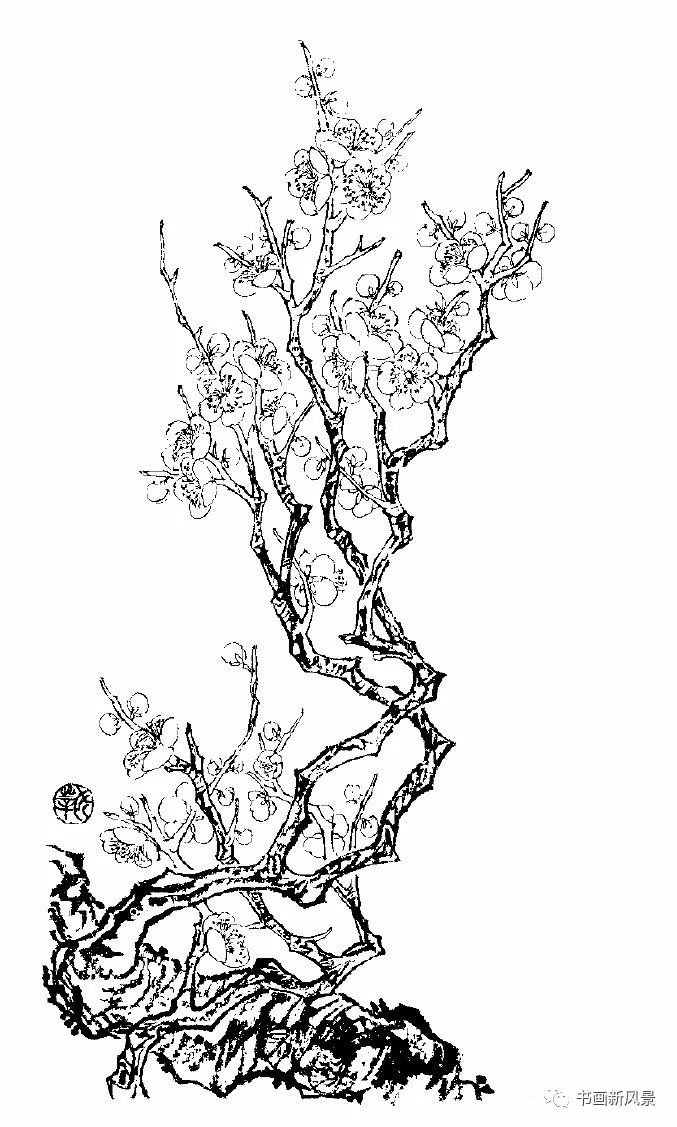 素描画梅花树图片