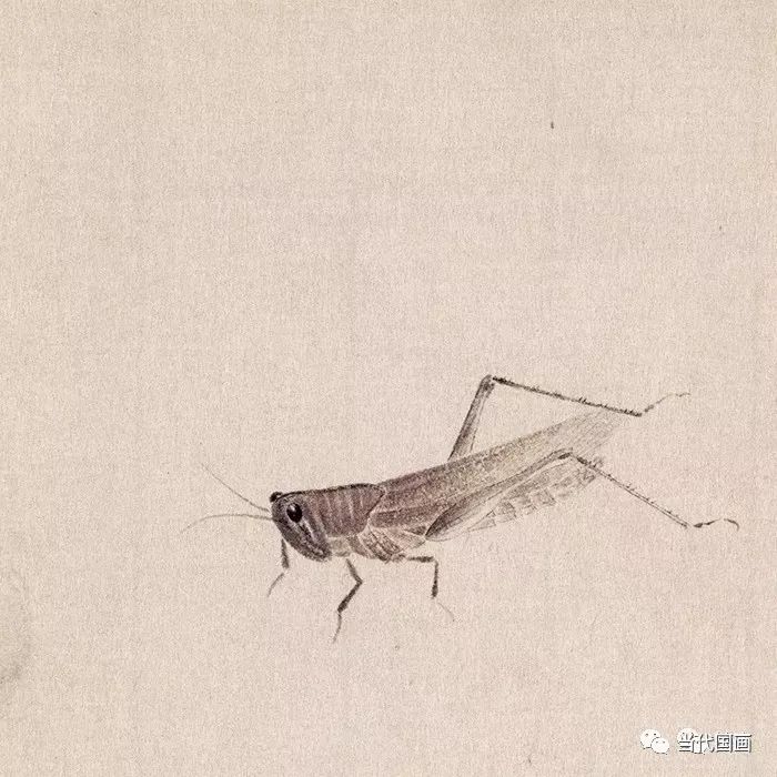 王雪涛画的蚂蚱图片