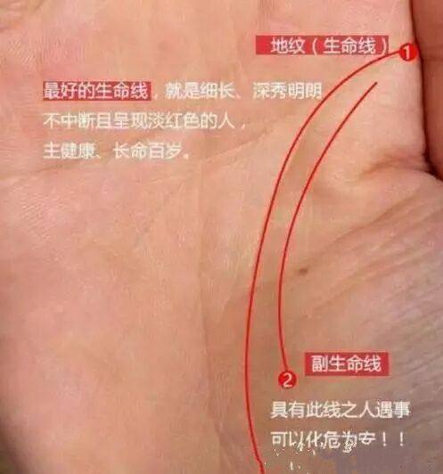 生命线短真的象征着短命吗