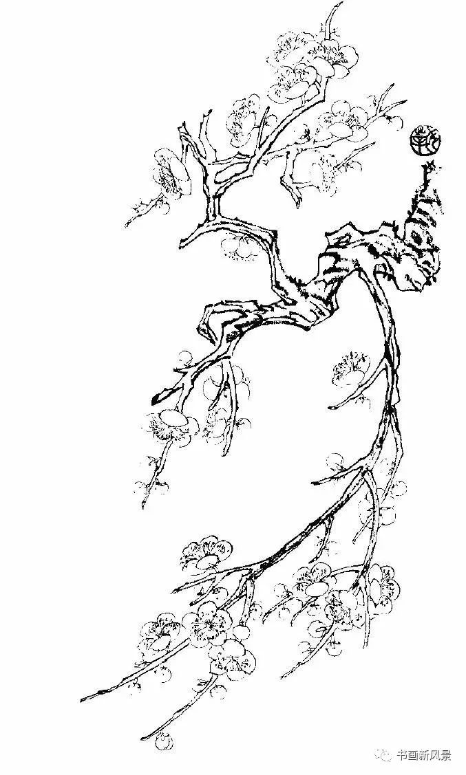 素描画梅花树图片