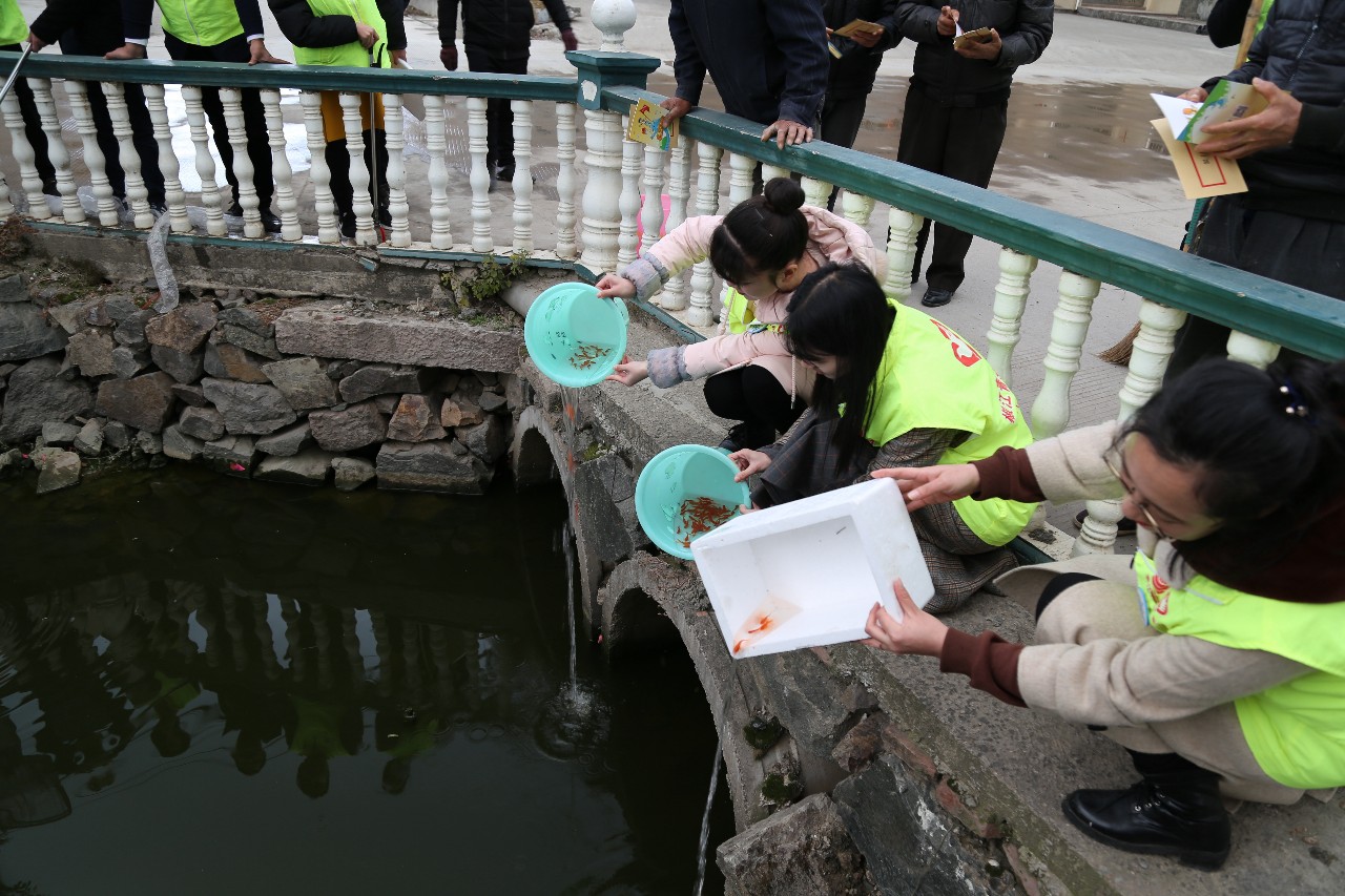 對小魚苗進行放生參觀文化禮堂河坎下村位於台州灣北岸前所街道東部