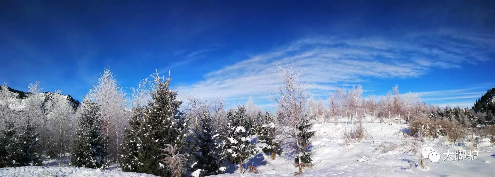 南山望雪图片