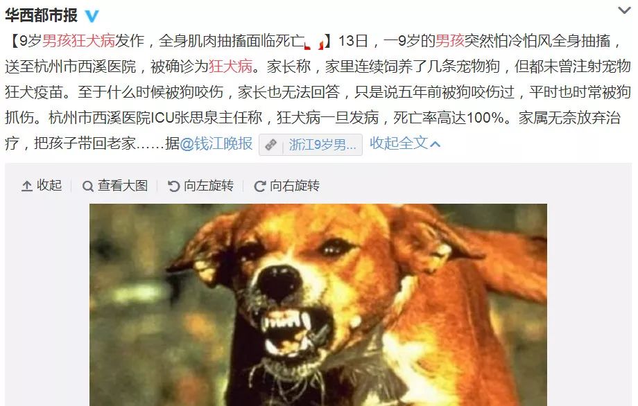 狂犬病发作的样子图片图片