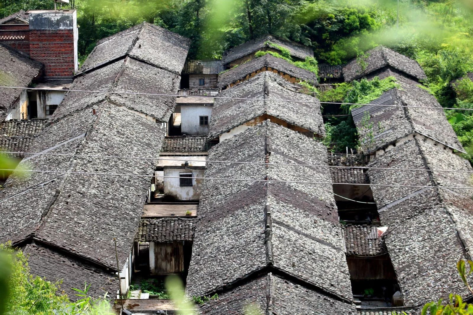 阳山县东山村图片