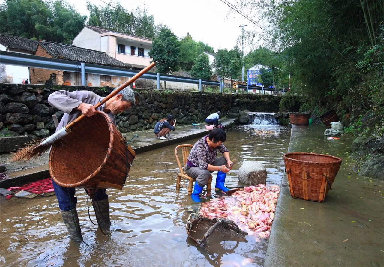 宁海第三次上榜省非物质文化遗产旅游景区,这些美丽乡村适合有文化的