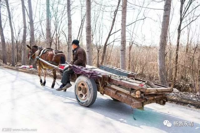 尋禮永清:行路的規矩,下坡讓上坡