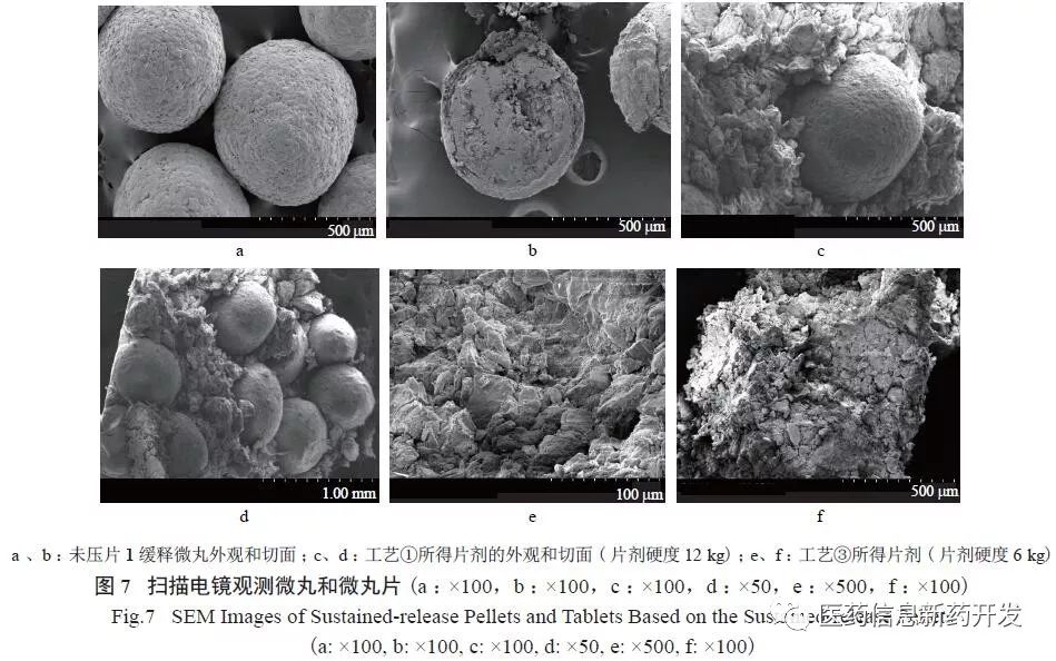 雙氯芬酸鈉緩釋微丸型片劑的製備及其藥動學