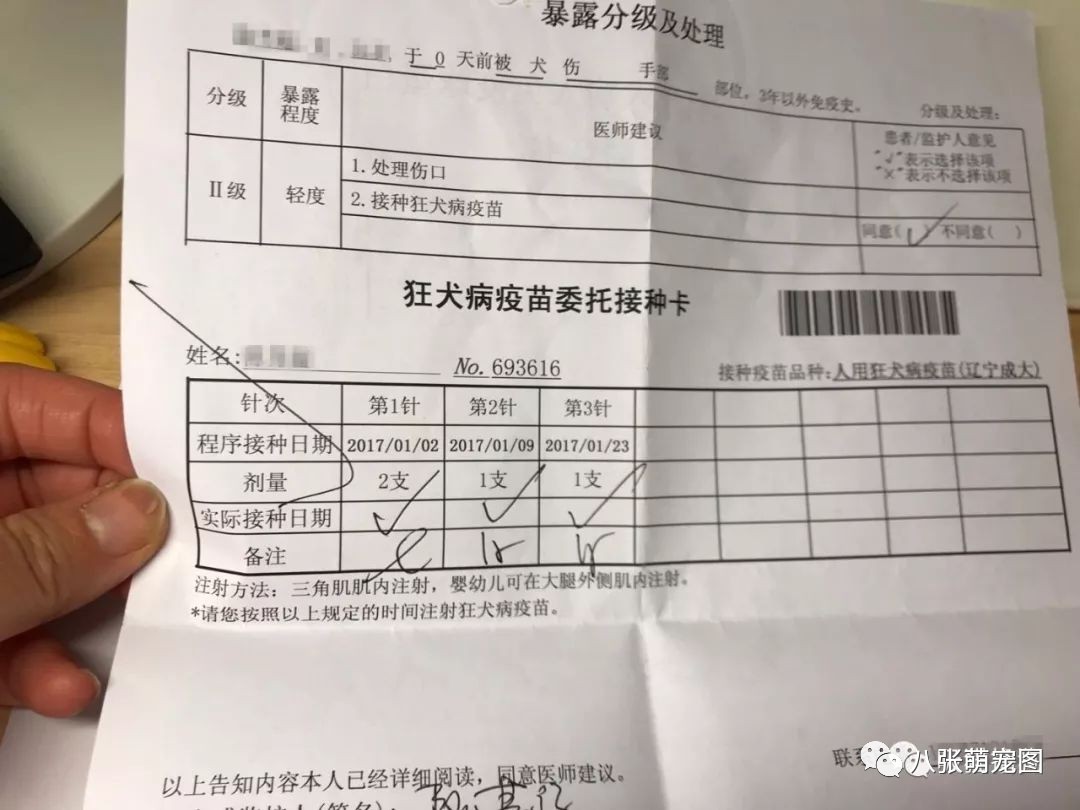 打狂犬疫苗发票图片图片