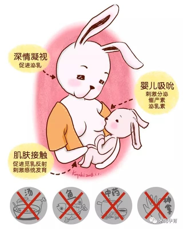 一图读懂肌肤接触泌乳原理