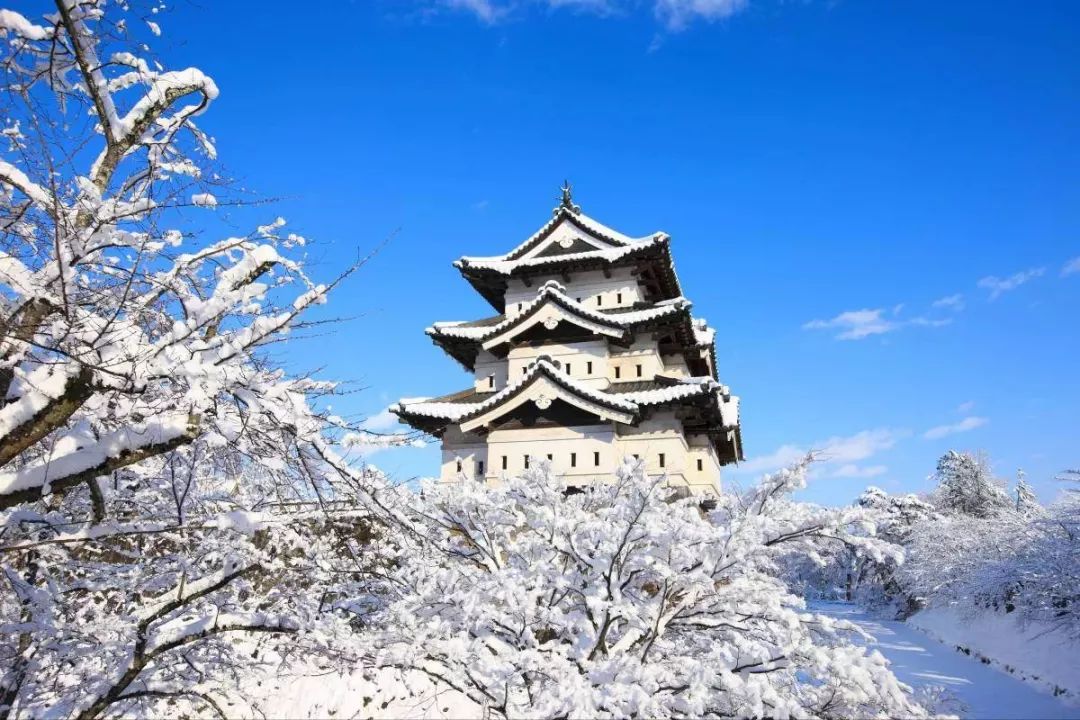 冬季日本青森观光指南,这里的雪满足了我对冬天的所有幻想