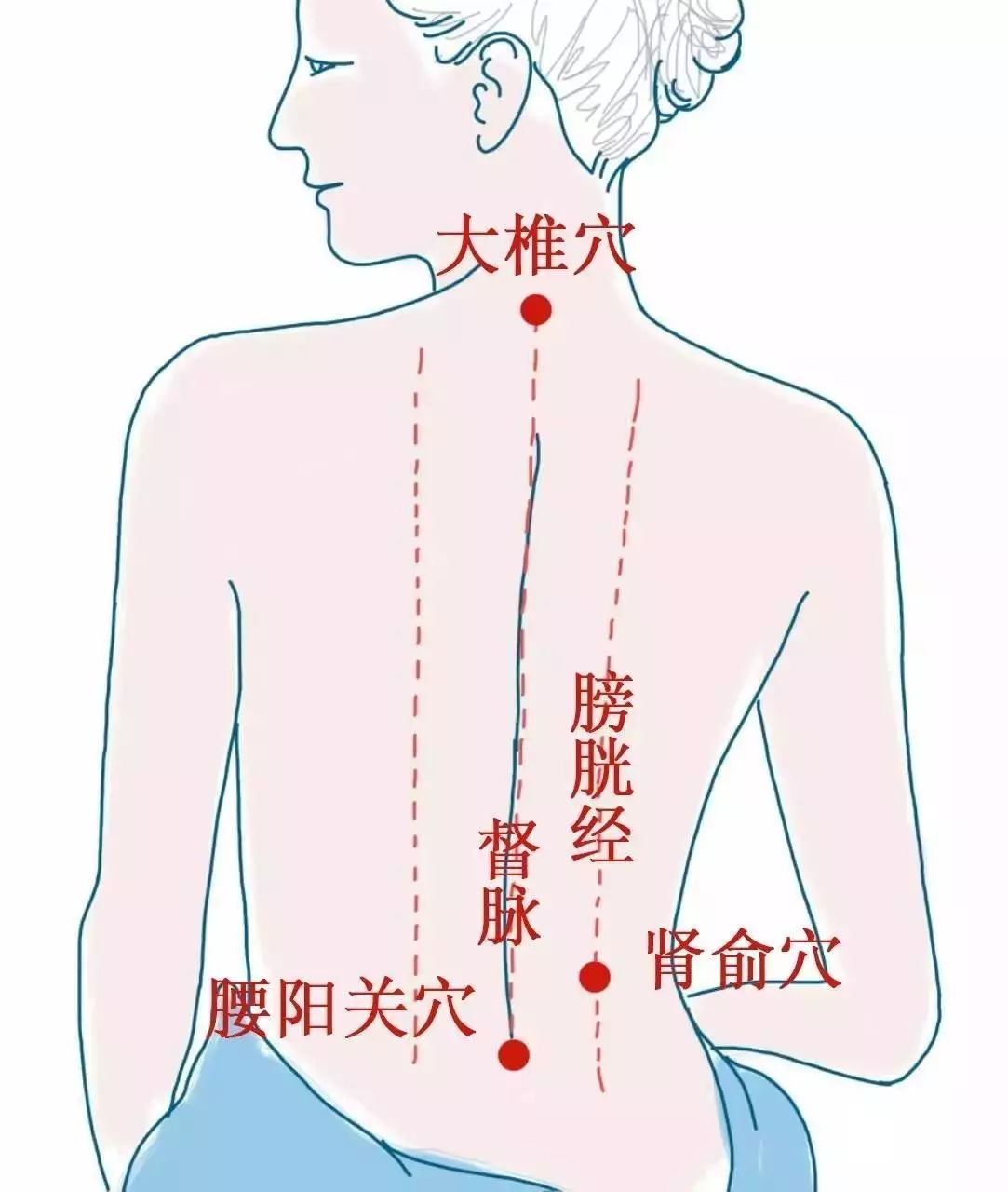 女性腰部反射区图解图片