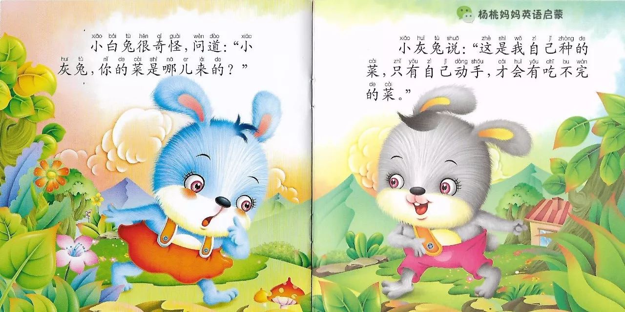 兔小白和兔小灰的故事图片