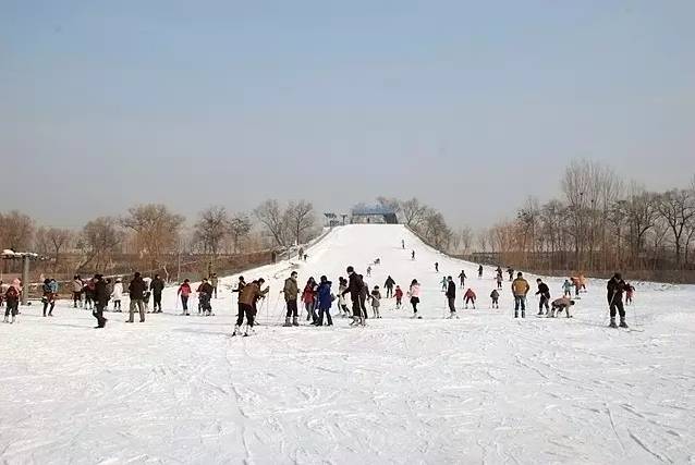 冰雪樂園,巨龜苑景點)05西部長青滑雪場可四季滑雪,晝夜滑雪的