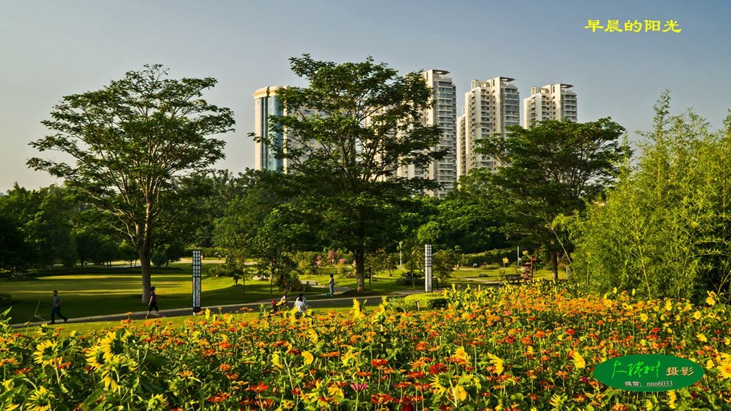 圖:大榕樹東湖公園圖:寒煙攝影南山公園圖:大榕樹新世紀廣場散散步