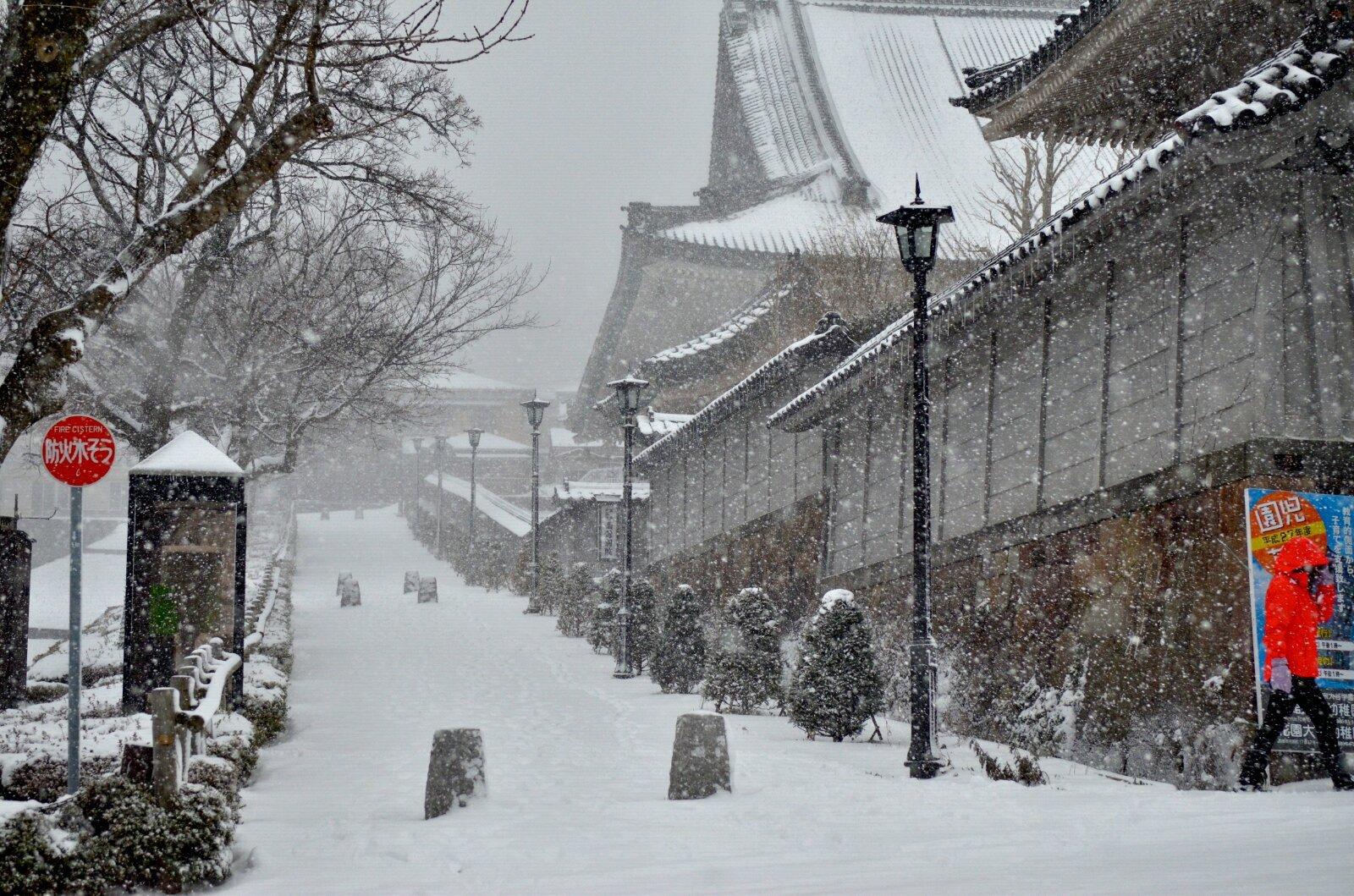 雪鄉宰客,導遊打人,日本雪景遭破壞,哪裡還可以看雪?