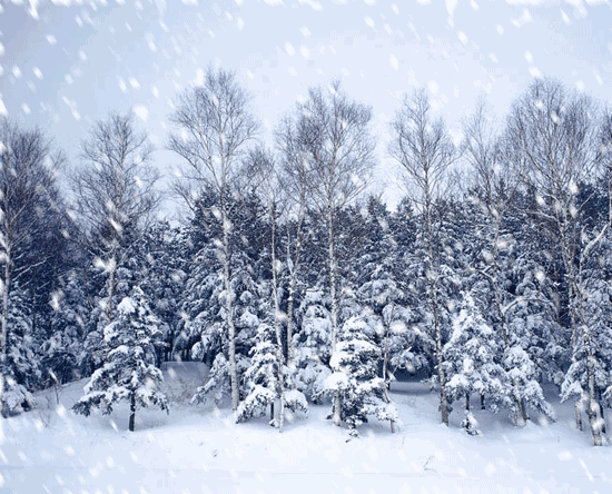 雪景动态图LED背景图图片