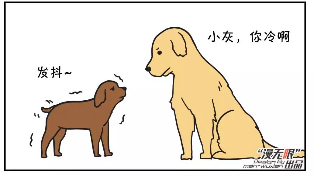 泰迪梳毛下怎麼帶回來一隻中華田園犬